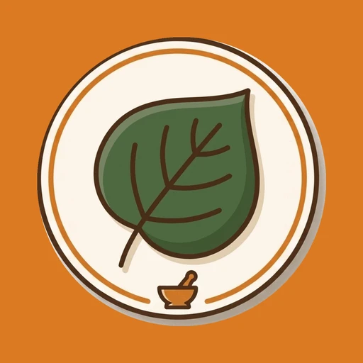 ApothekeReady Logo